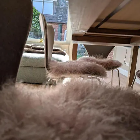 Heflys Hüs Ferienhaus *